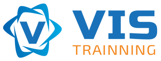Vis Trainning