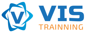 Vis Trainning