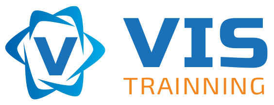Vis Trainning